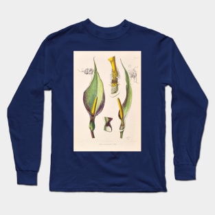 Arum Concinnatum - Icones Aroidearum - Botanical Illustration Long Sleeve T-Shirt